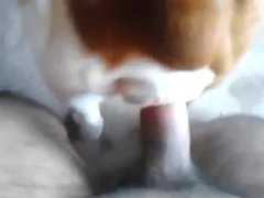 zoosex.name